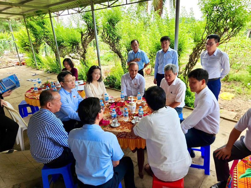 Cơ quan thẩm tra đi thực tế vườn trồng thanh long của gia đình ông Nguyễn Văn Hưởng, chợ Gạo, Tiền Giang. Ảnh: CTV