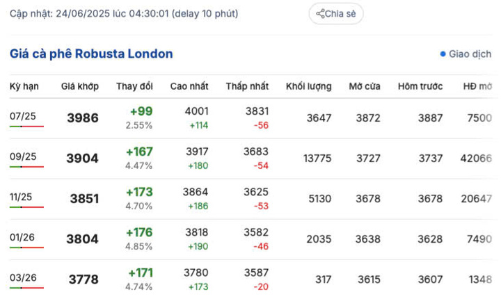Giá cà phê Robusta London ngày 24/6/2025