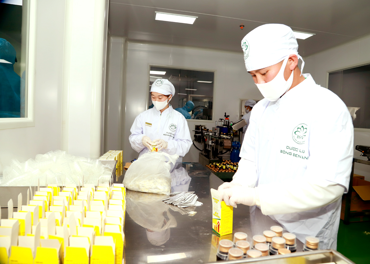 Khẳng định thương hiệu nông sản hàng hóa đặc trưng