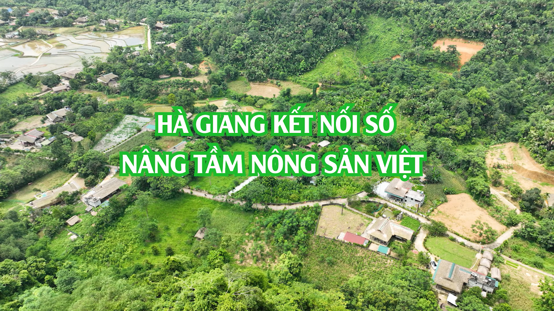 Hà Giang: Gắn kết nông sản bản địa với phát triển du lịch, thúc đẩy kinh tế số