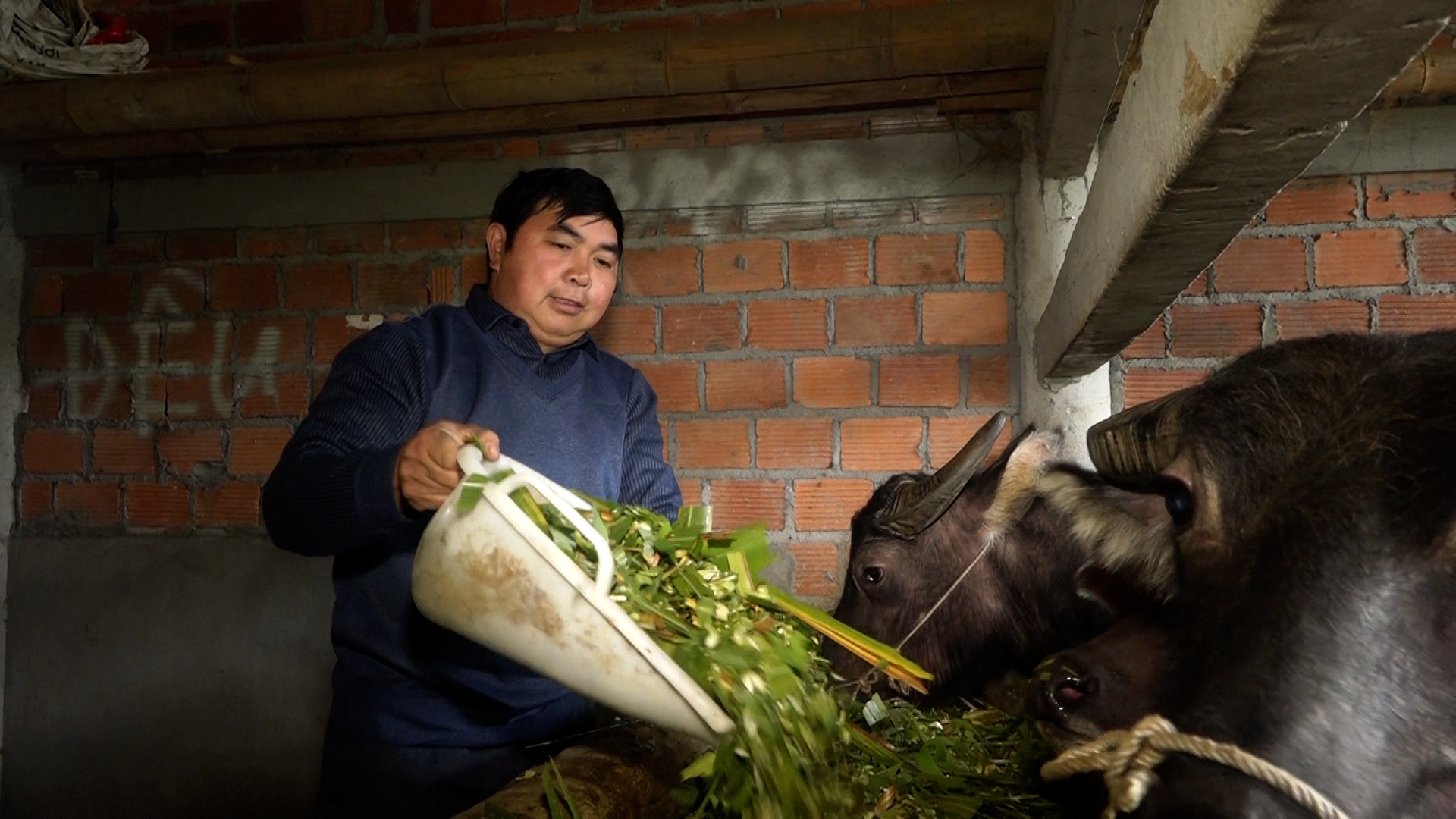 Vàng A Vần - Trưởng thôn người Dao tiêu biểu làm theo Bác, làm giàu chính đáng từ nông nghiệp