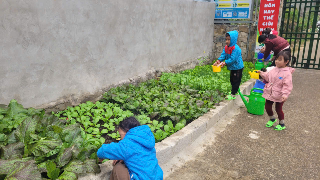 Trường Mầm non Lũng Chinh xây dựng môi trường “Xanh – An toàn – Hạnh phúc”