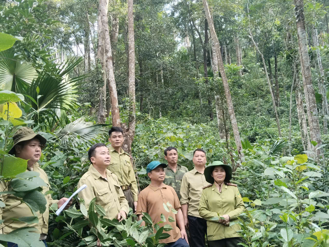 Xã Tân Quang kiểm tra ngoại nghiệp trữ lượng rừng tại thôn Nậm An