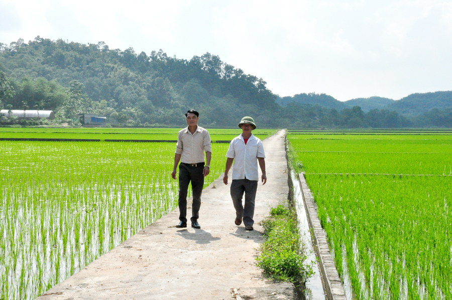 Dồn điền &ndash; đổi thửa để Hạ Th&agrave;nh đổi mới