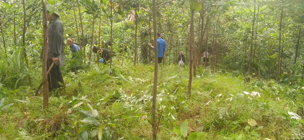 TRI ÂN GIA ĐÌNH THƯƠNG BINH, LIỆT SỸ