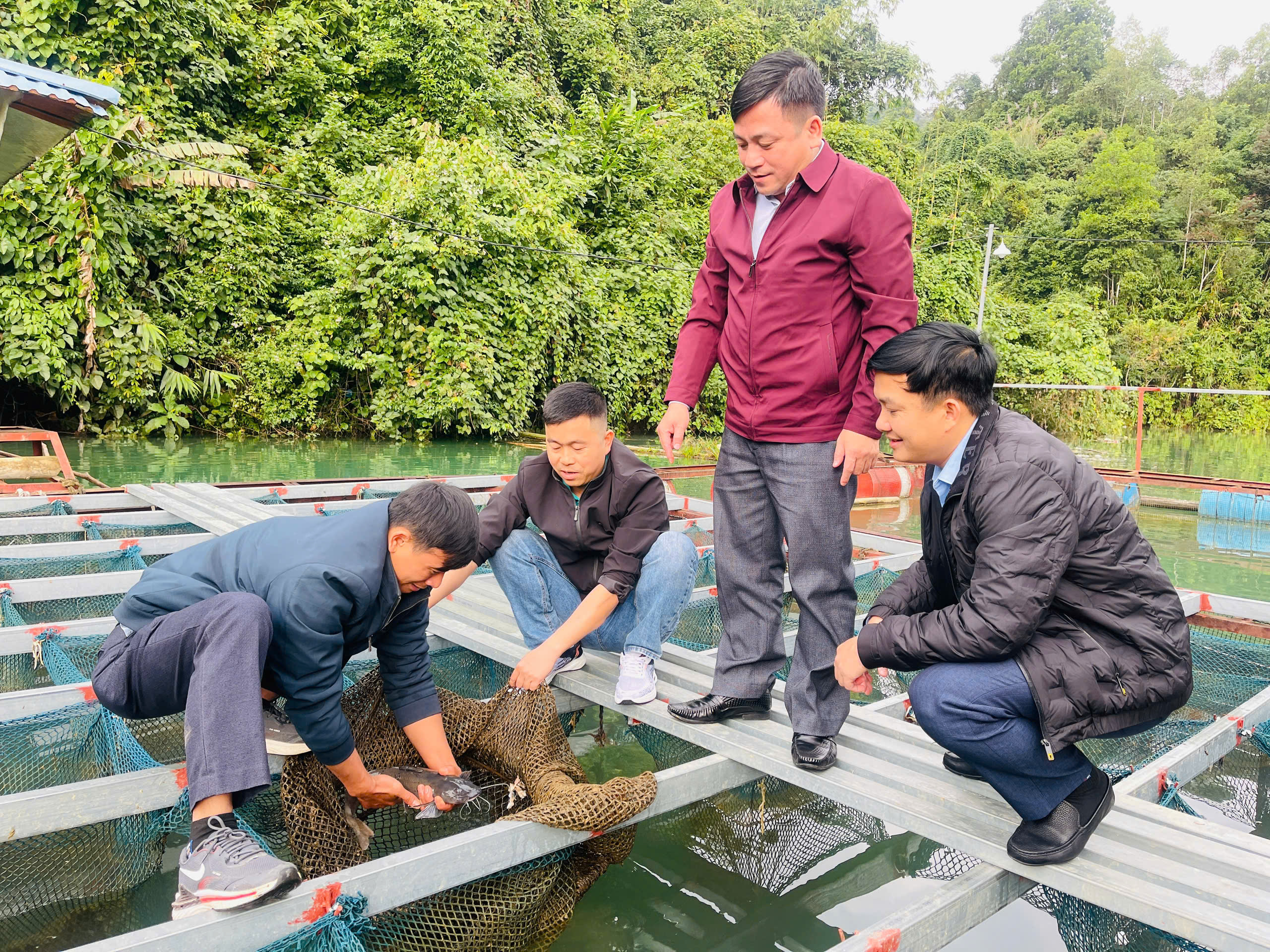 Hội thảo tổng kết dự án nuôi cá lăng chấm tại xã Thuận Hòa