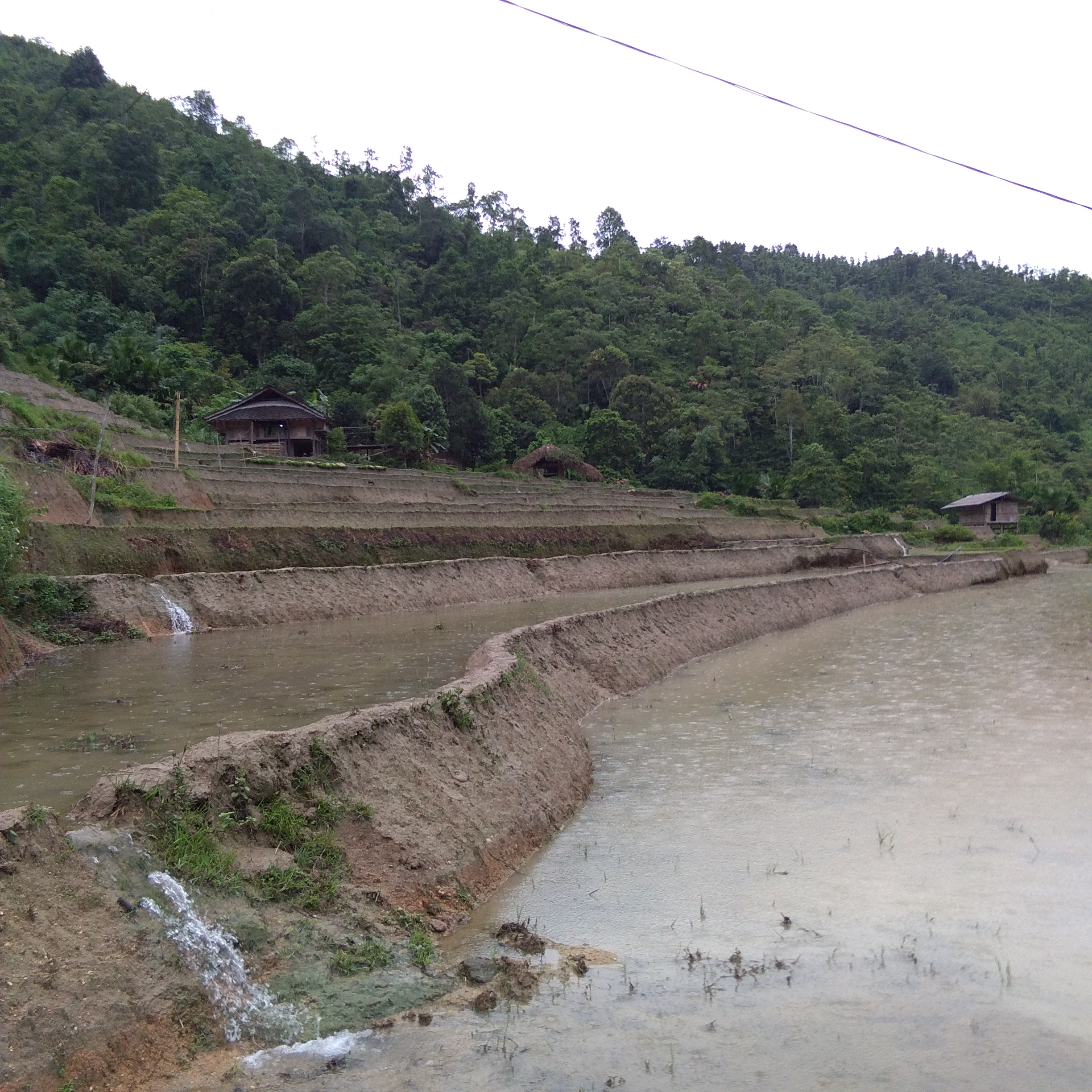 Xã Thượng Sơn chuẩn bị vào vụ Mùa