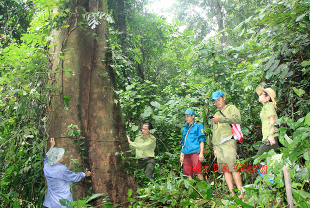 Sau 1 năm thực hiện tuyến tuần tra rừng ở Bằng Lang
