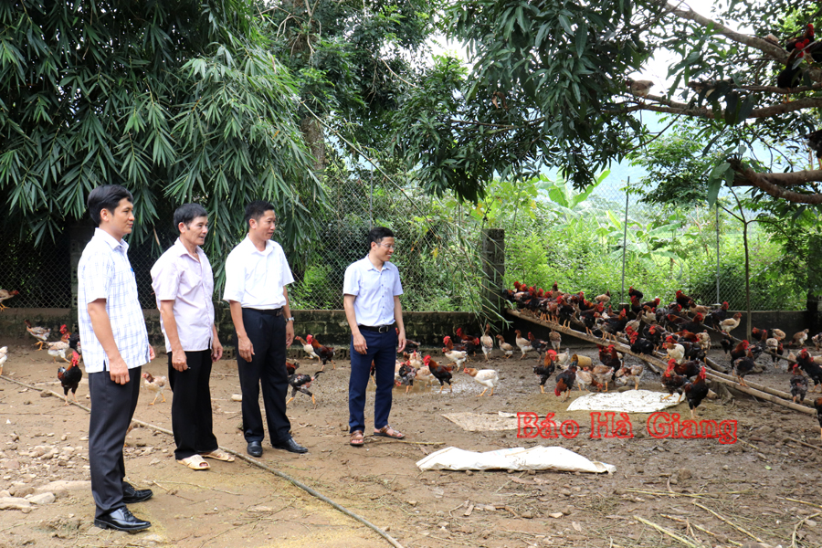 Tùng Bá phát huy vai trò cán bộ, đảng viên trong phát triển kinh tế