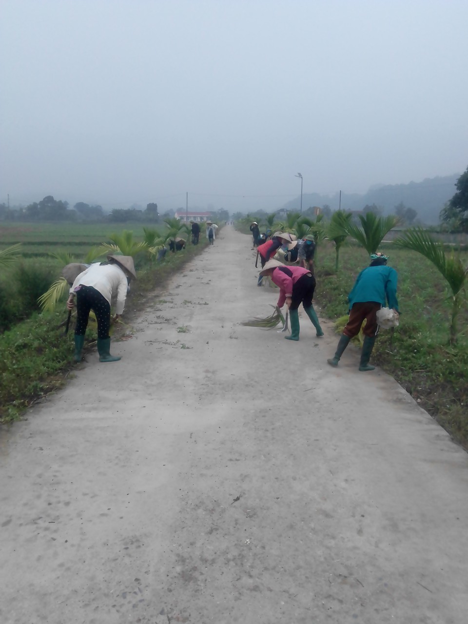 HỘI VIÊN NÔNG DÂN THÔN NÀ GIÁO CHỈNH TRANG CẢNH QUAN, VỆ SINH MÔI TRƯỜNG