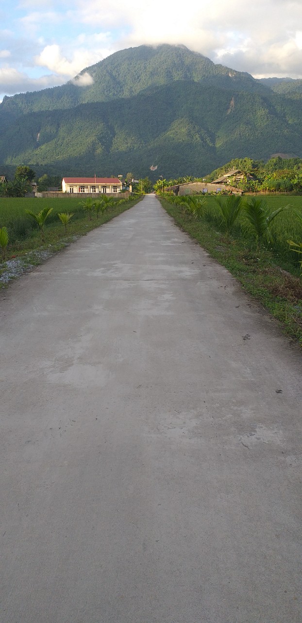 Xây dựng tuyến đường nông thôn kiểu mẫu