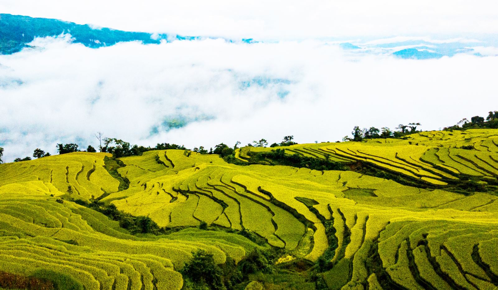 Tuyenquang.gov.vn