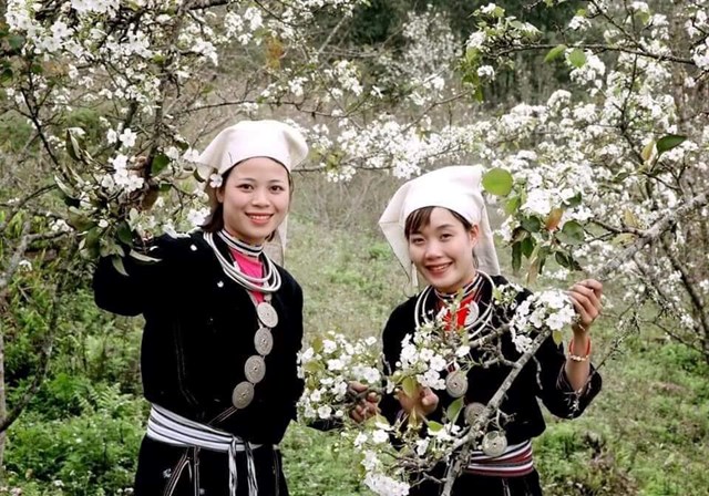 Tuyenquang.gov.vn