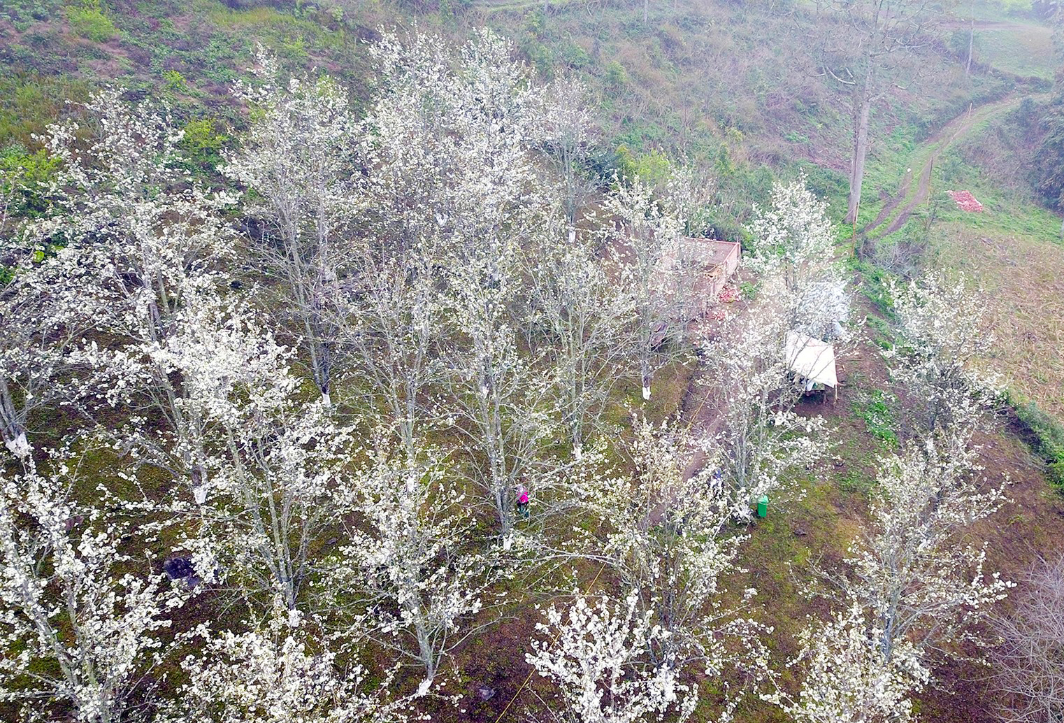 Tuyenquang.gov.vn