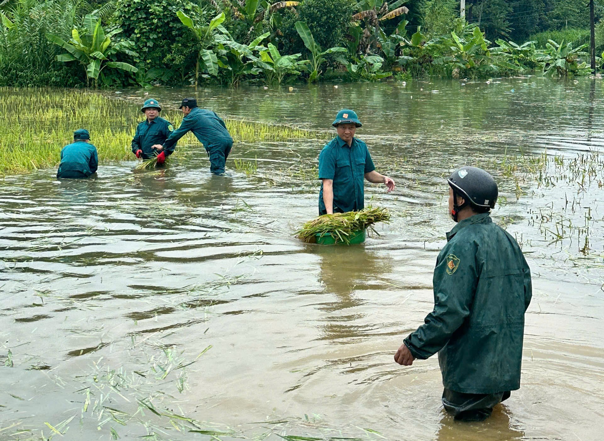 Lực lượng Dân quân xã Vị Xuyên hỗ trợ nhân dân khắc phục hậu quả do mưa lũ.