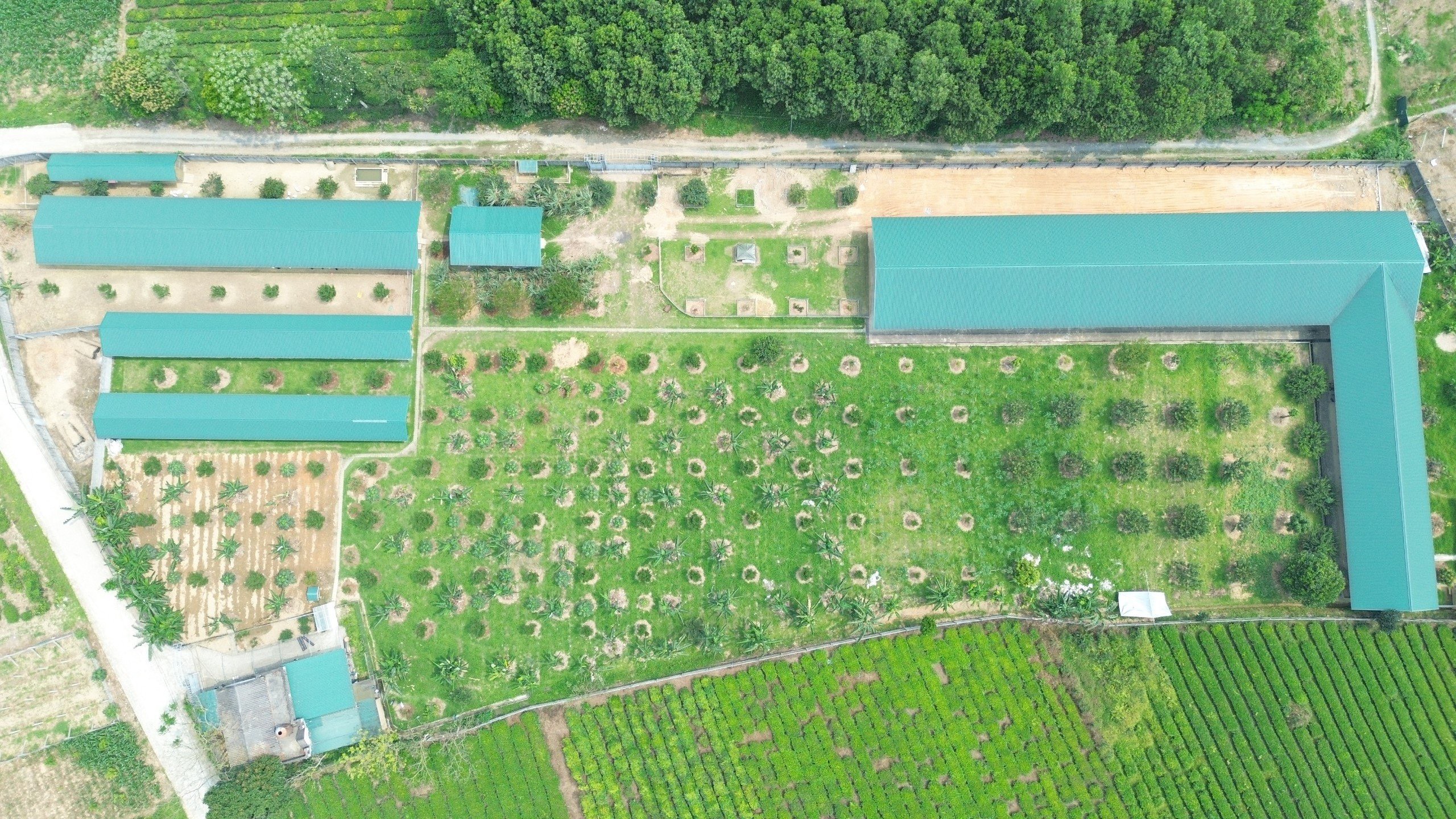 Đảng viên Lưu Duy Đông thành công từ nuôi chim cảnh