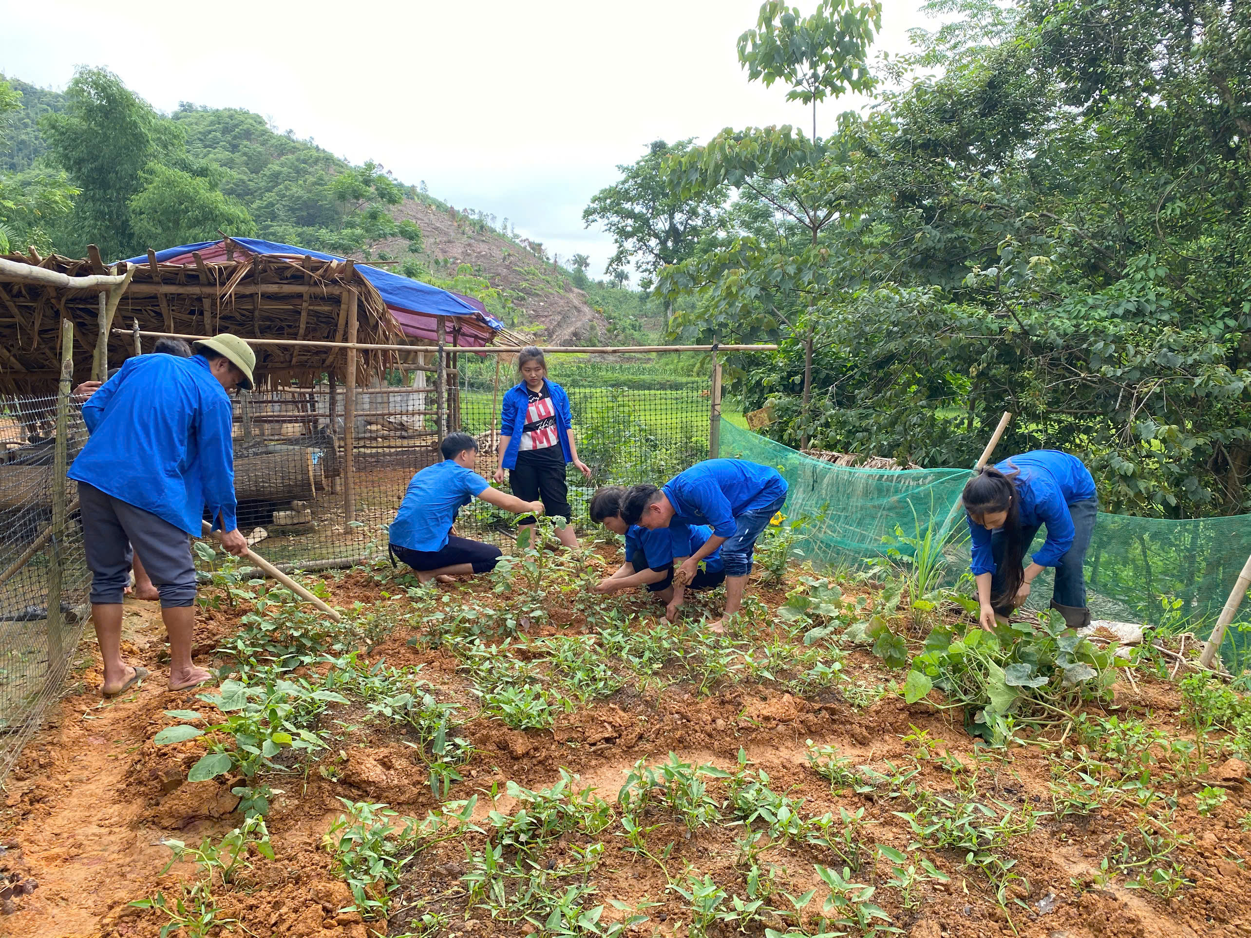 ĐOÀN XÃ YÊN THÀNH RA QUÂN “NGÀY CHỦ NHẬT XANH”  CẢI TẠO VƯỜN TẠP, CHỈNH TRANG KHUÔN VIÊN CHO ĐOÀN VIÊN THANH NIÊN